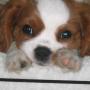 Joyce Richards Photo 37