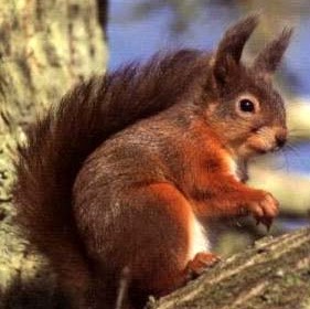 Janet Stuart Photo 31