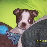 Deborah Bergeron Photo 17