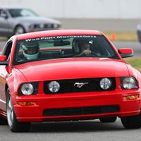 Kelly Ashmore Photo 26