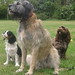 Ruby Darby Photo 5