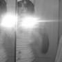 Alexandra Bush Photo 9