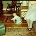 Dorothy Rhoades Photo 8