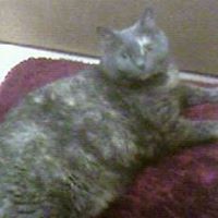 Jean Knowles Photo 19