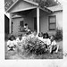 Sandra Perry Photo 14