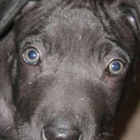 Isaac Richardson Photo 17
