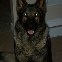 John Argo Photo 18