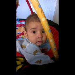 Joseph Paredes Photo 17