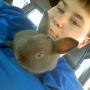 Morgan Sharpe Photo 3