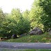 Thomas Walker Photo 28