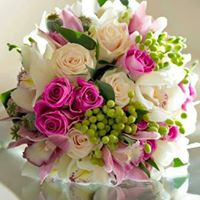 Anuradha Chaudhary Photo 6