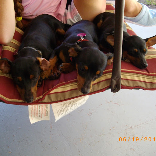 Cheri Martin Photo 14