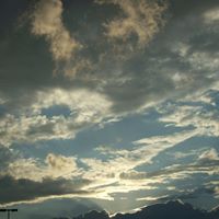 Patricia Spaulding Photo 25