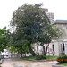 Walter Tuttle Photo 11
