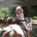 Vivian Griffiths Photo 15