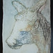 Heidi Glaze Photo 9