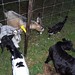 Jeannie Field Photo 6