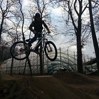 David Petkov Photo 7