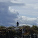 Dean Conner Photo 24