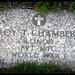 Roy Chambers Photo 22