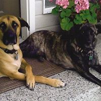 Carolyn Fletcher Photo 44