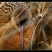 Jerry Clapper Photo 9