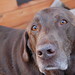 Maureen Jackson Photo 27