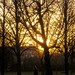 Philip Winters Photo 15