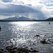 Mark Mctaggart Photo 12