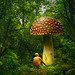 Jon Haber Photo 13