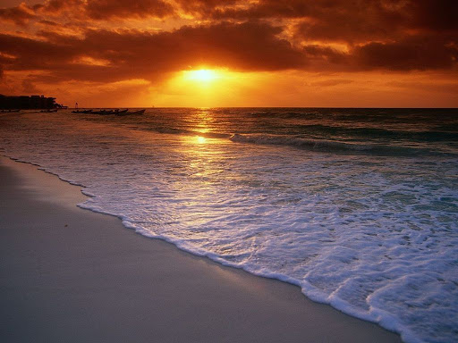 Colleen Parker Photo 19
