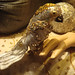 Thomas Parrott Photo 19