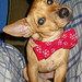 Robin Spaulding Photo 28