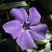 Christine Lesser Photo 10