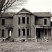 Mark Constantine Photo 18