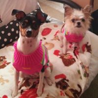 Cheryl Nobles Photo 7