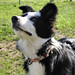 Sue Franks Photo 15