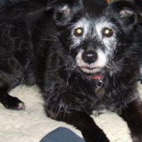 Paula Metcalfe Photo 4