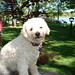 Leroy Summers Photo 11