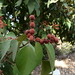 Xiang Ma Photo 10