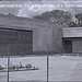 Wayne Shutter Photo 8