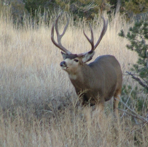 Randy Franklin Photo 18