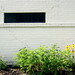 Susan Geyer Photo 8