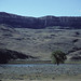 Judith Rodgers Photo 14