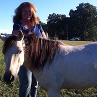 Brenda Marsh Photo 10