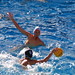 Alex Alvarado Photo 37