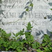 Samuel Weiner Photo 16