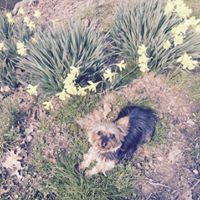Debbie Colvin Photo 10
