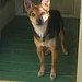 Kathy Conti Photo 27
