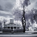 Randall Anderson Photo 43
